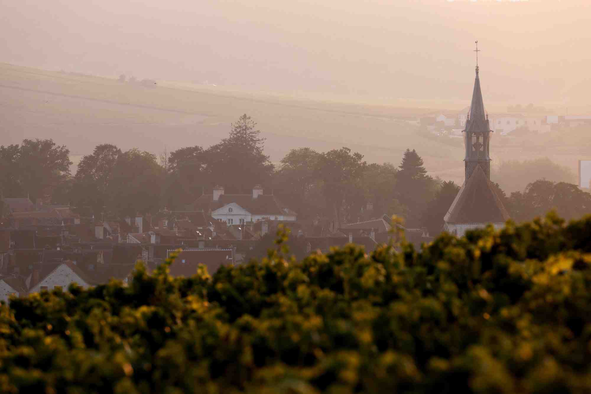 Vue sur le vignoble de chablis