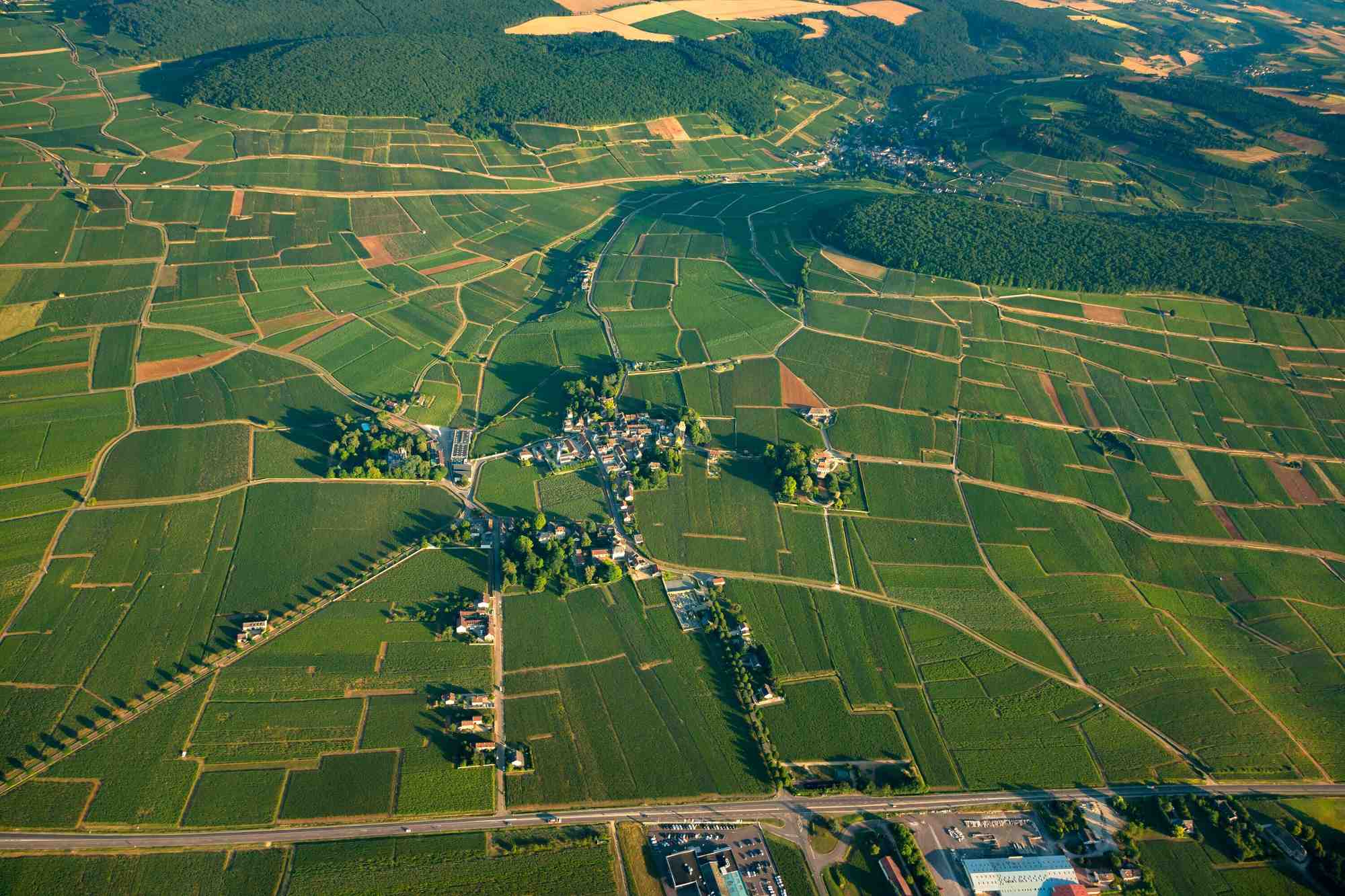 Attaché à la valorisation des territoires, le dirigeant de Canovia a mis au point un concept, afin de faciliter les transmissions de domaines viticoles au sein des familles. Ici un paysage des vignes en Côte-d'Or (Bourgogne).