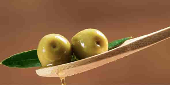 Confiserie d'olives Brunel, dans le Gard