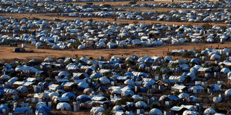 Camp de réfugiés