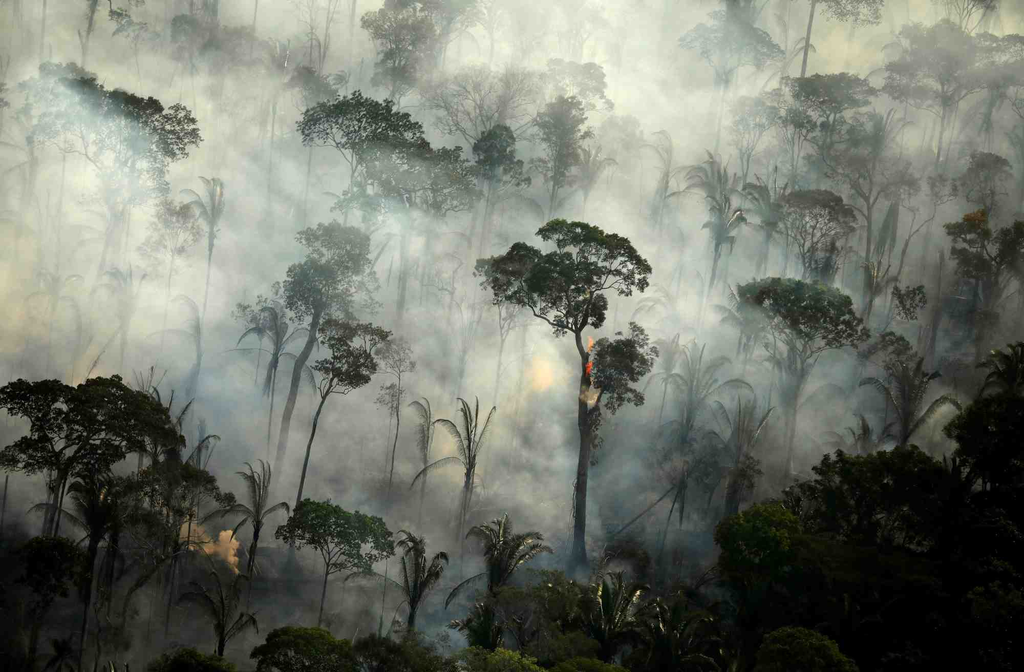 Sur la seule journée du 30 juillet, les satellites ont détecté 1.007 incendies en Amazonie, a indiqué l'INPE, le pire jour pour un mois de juillet depuis 2005, a souligné l'ONG de défense de l'environnement Greenpeace.