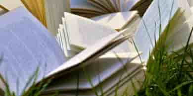 Photo d'illustration