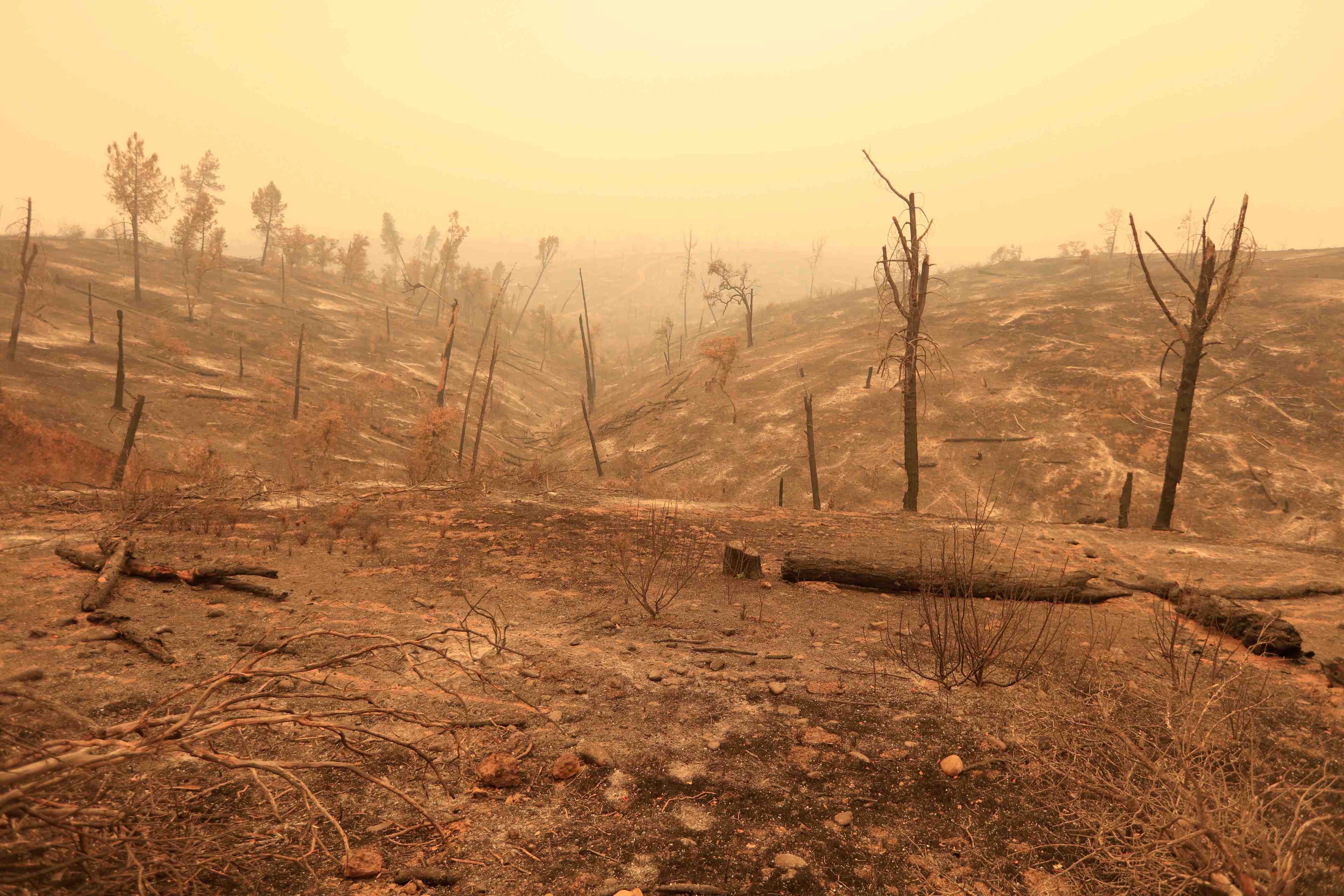 Un incendie ravage le nord de la californie, au moins 5 morts