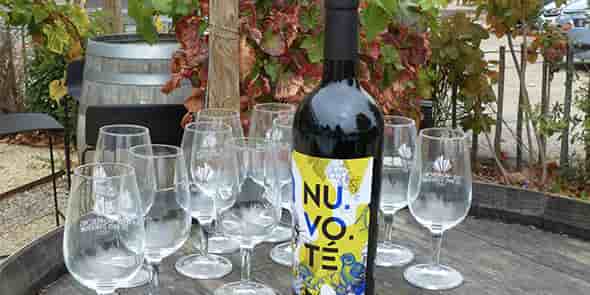 Vignobles Foncalieu