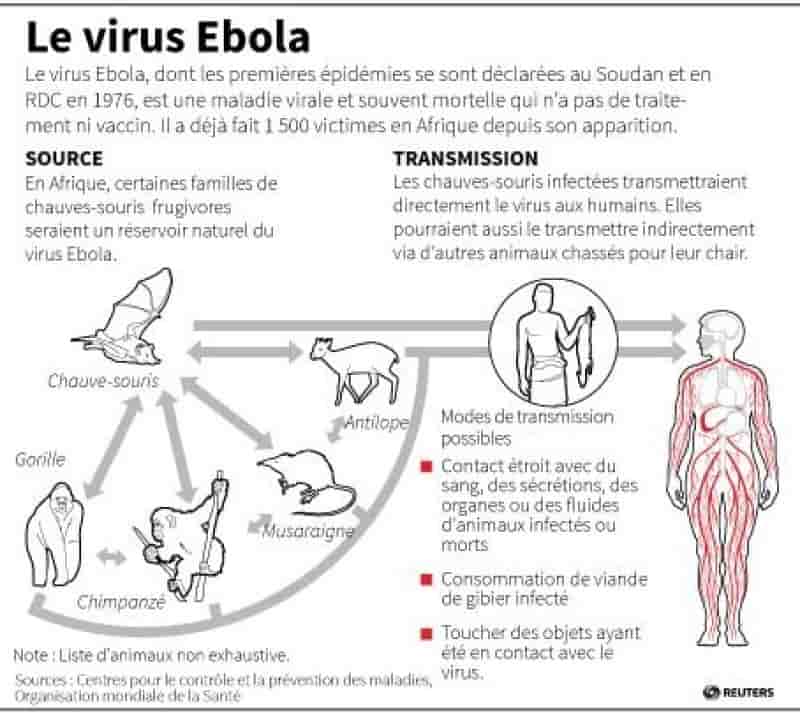 Guinée: l'OMS relativise l'ampleur de l'épidémie de fièvre Ebola