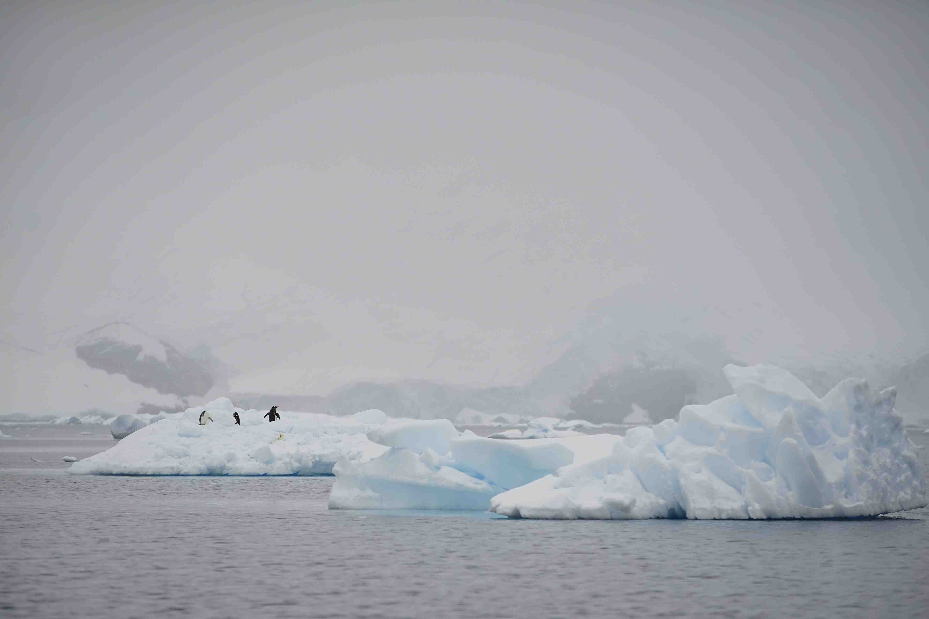 Le rythme de fonte de l'antarctique s'accelere fortement