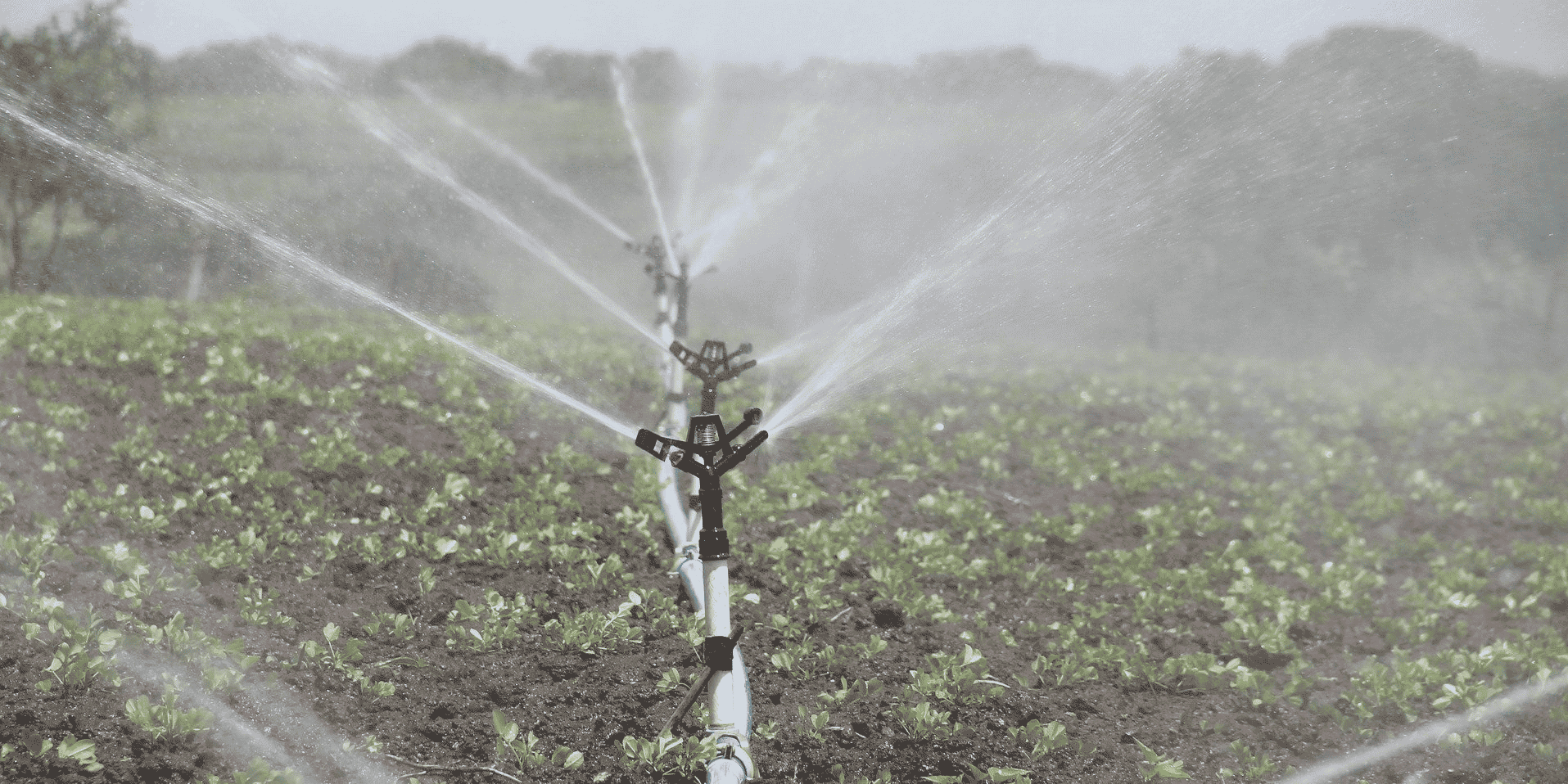 Eau irrigation