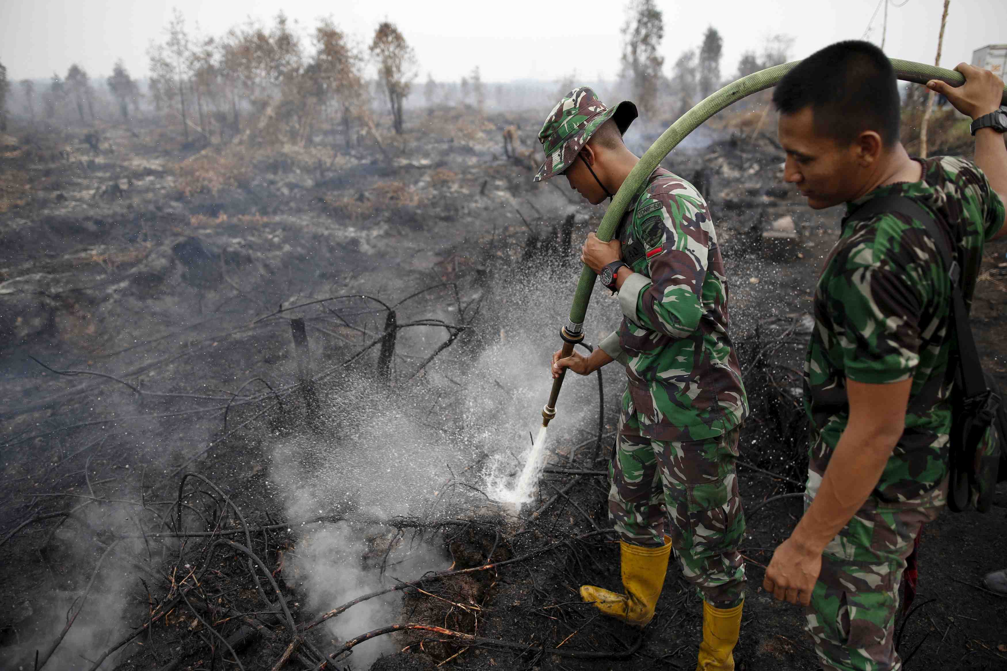 L'indonesie compte restaurer 200.000 hectares de tourbieres en 2019