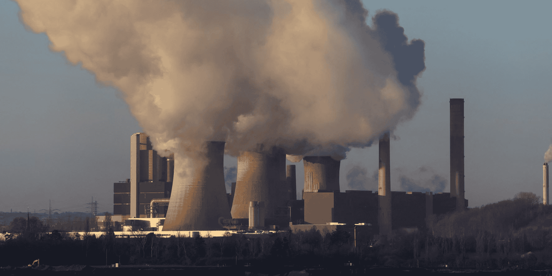 la Commission européenne lance un projet de séquestration de carbone volontaire