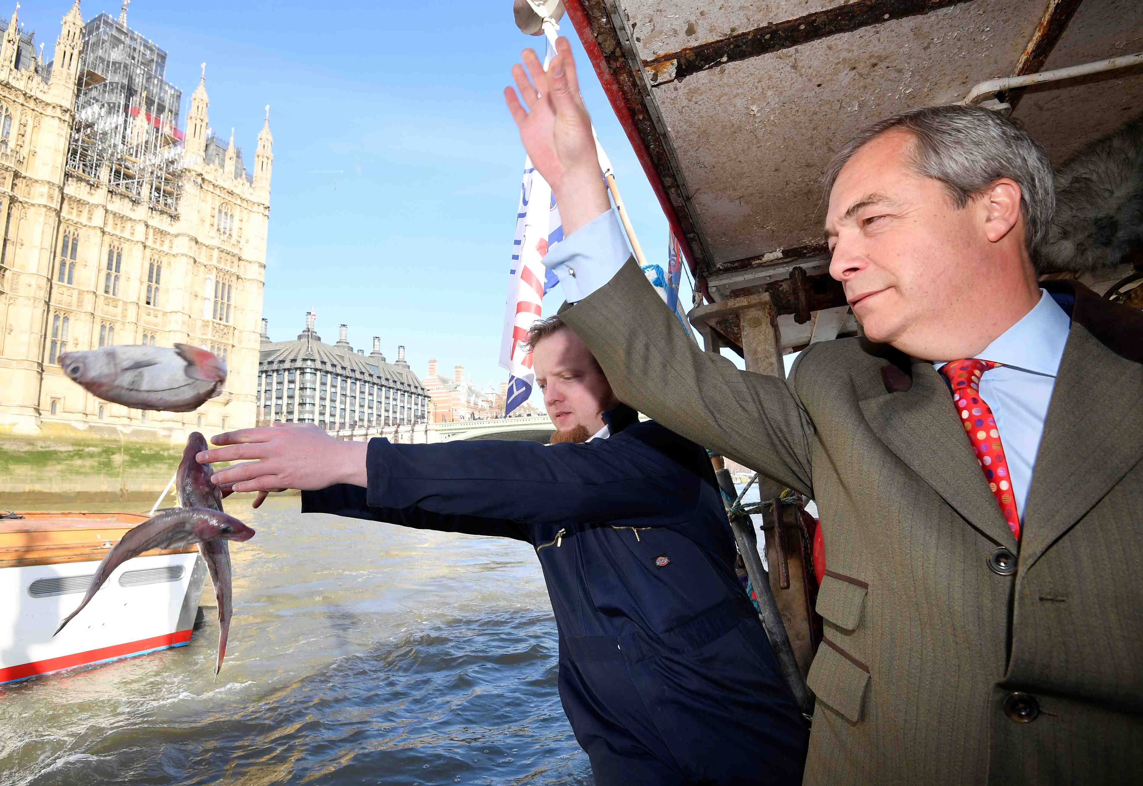 Grande-bretagne: des pro-brexit jettent du poisson dans la tamise