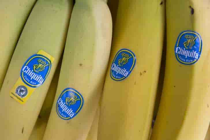 Chiquita rompt avec Fyffes et discute avec les brésiliens