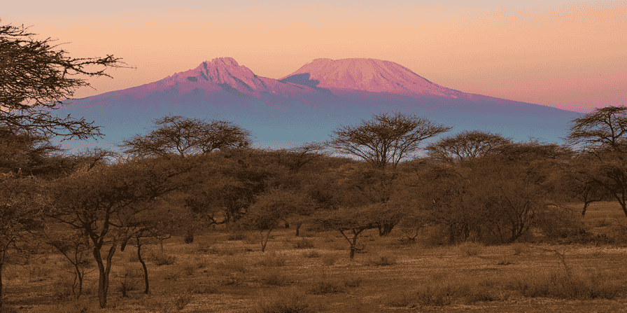 ALTDE_Biocarburant, le Kenya mise sur la noix de croton savane tourisme