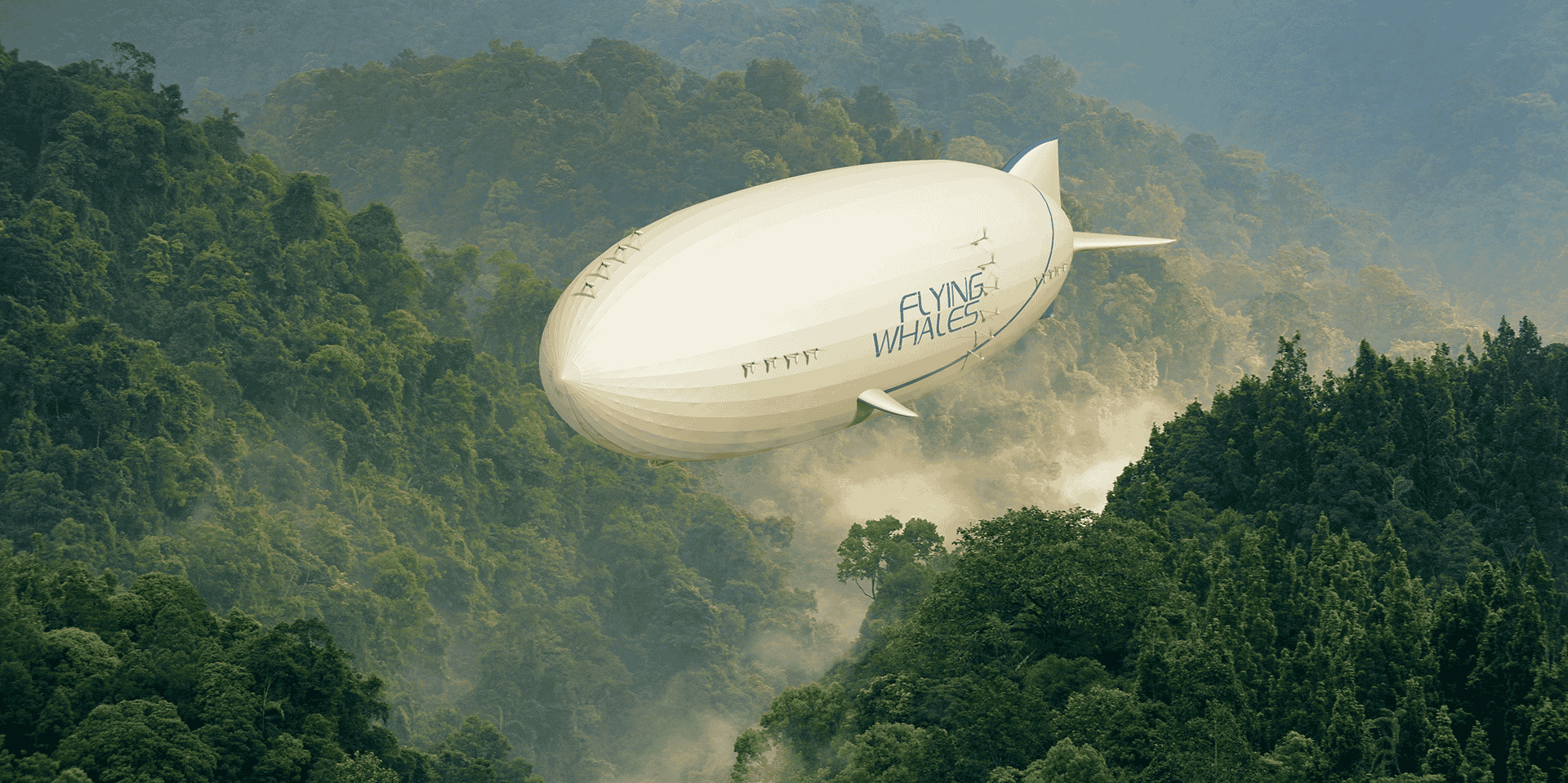 Flying Whales
