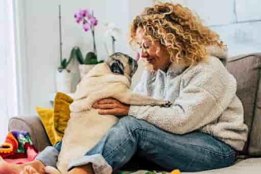 Mutuelle animaux : quel est le prix d’une assurance animaux ?