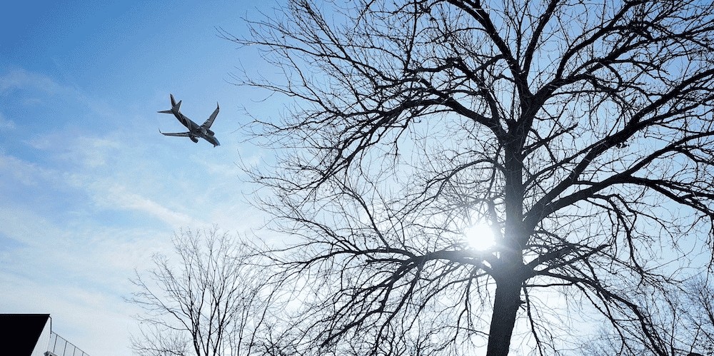 Avion
