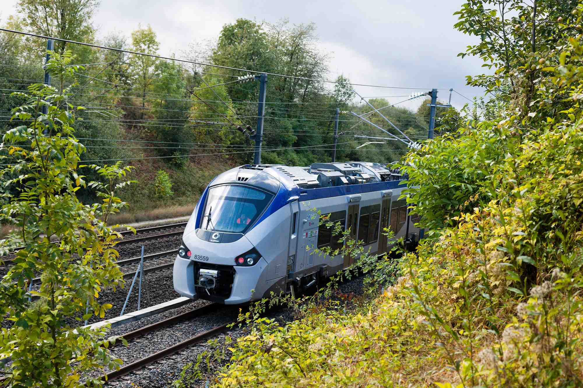 Train Régiolis