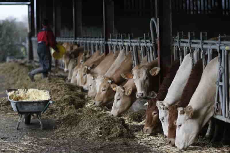 Reunion a bruxelles des ministres de l'agriculture de l'ue