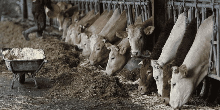 Reunion a bruxelles des ministres de l'agriculture de l'ue