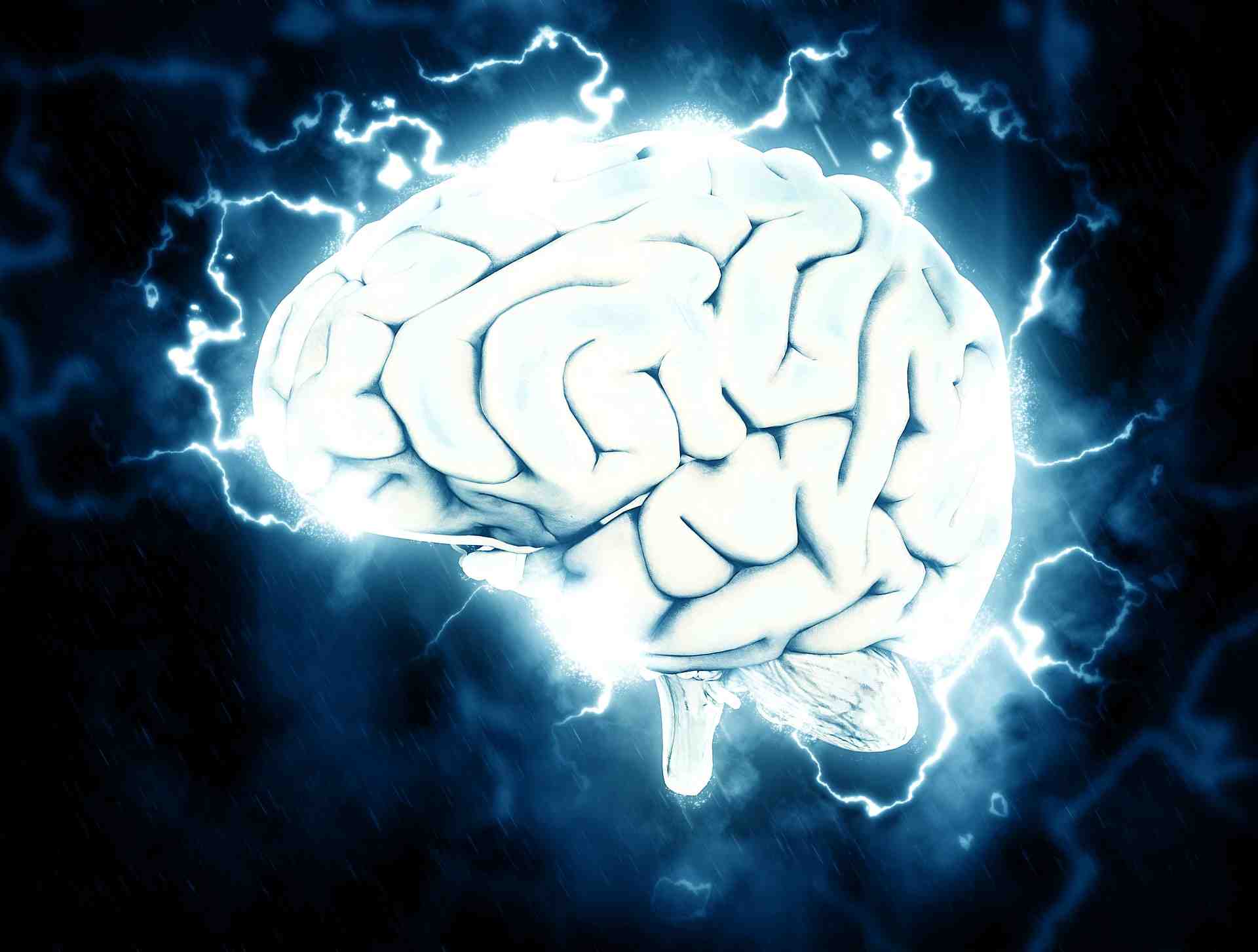 Intelligence artificielle, cerveau