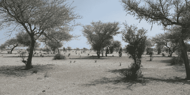 Sahara Sahel climat sécheresse