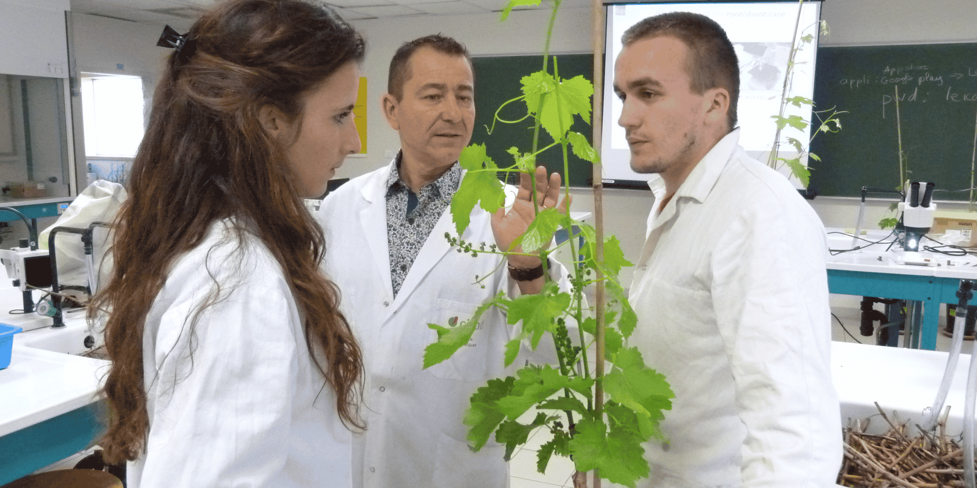Laurent Torregrosa, directeur de l'Institut des Hautes Etudes de la Vigne et du Vin (IHEV)