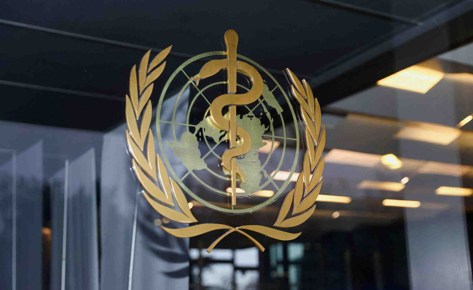 Le mpox « n'est pas le nouveau Covid », selon l'OMS.