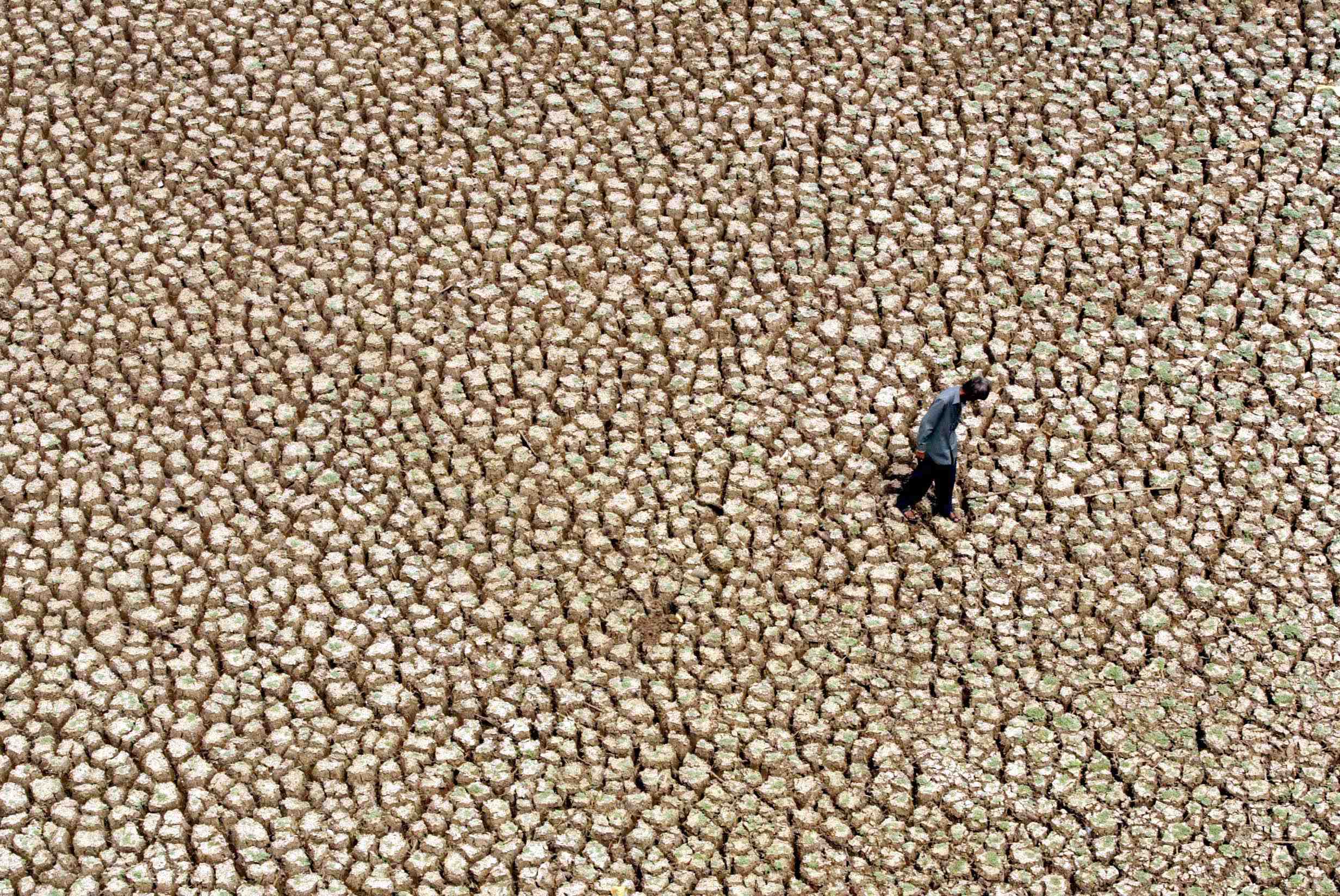 Sécheresse en Inde