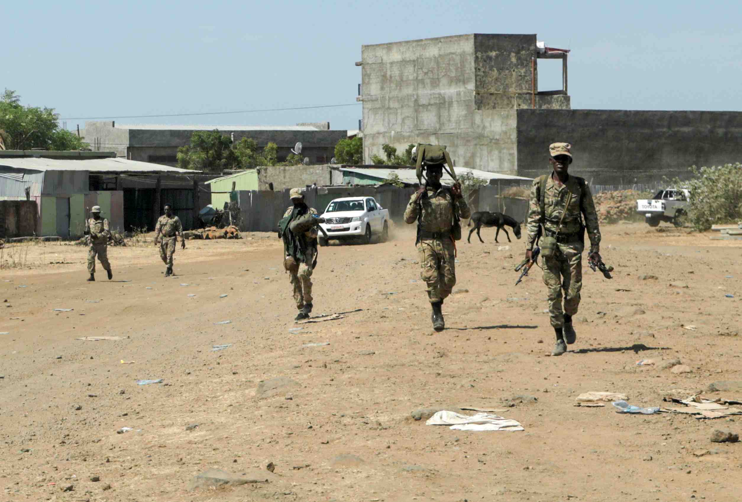 L'ethiopie dit progresser au tigre, 10.000 prisonniers disparus