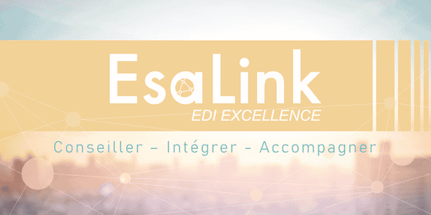 EsaLink : la TMA pour externaliser la gestion de vos solutions informatiques