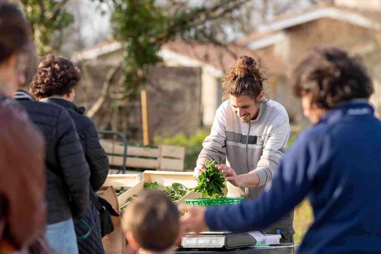 Quentin Gross a lancé son activité en 2024 sur la commune de Mérignac près de Bordeaux et propose de la vente directe depuis le mois de mars.