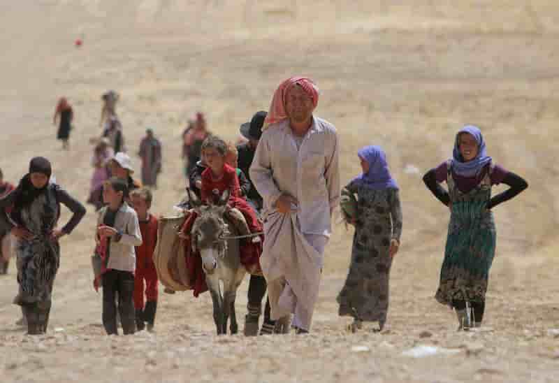 Des milliers de Yazidis d'Irak ont réussi à fuir le mont Sinjar