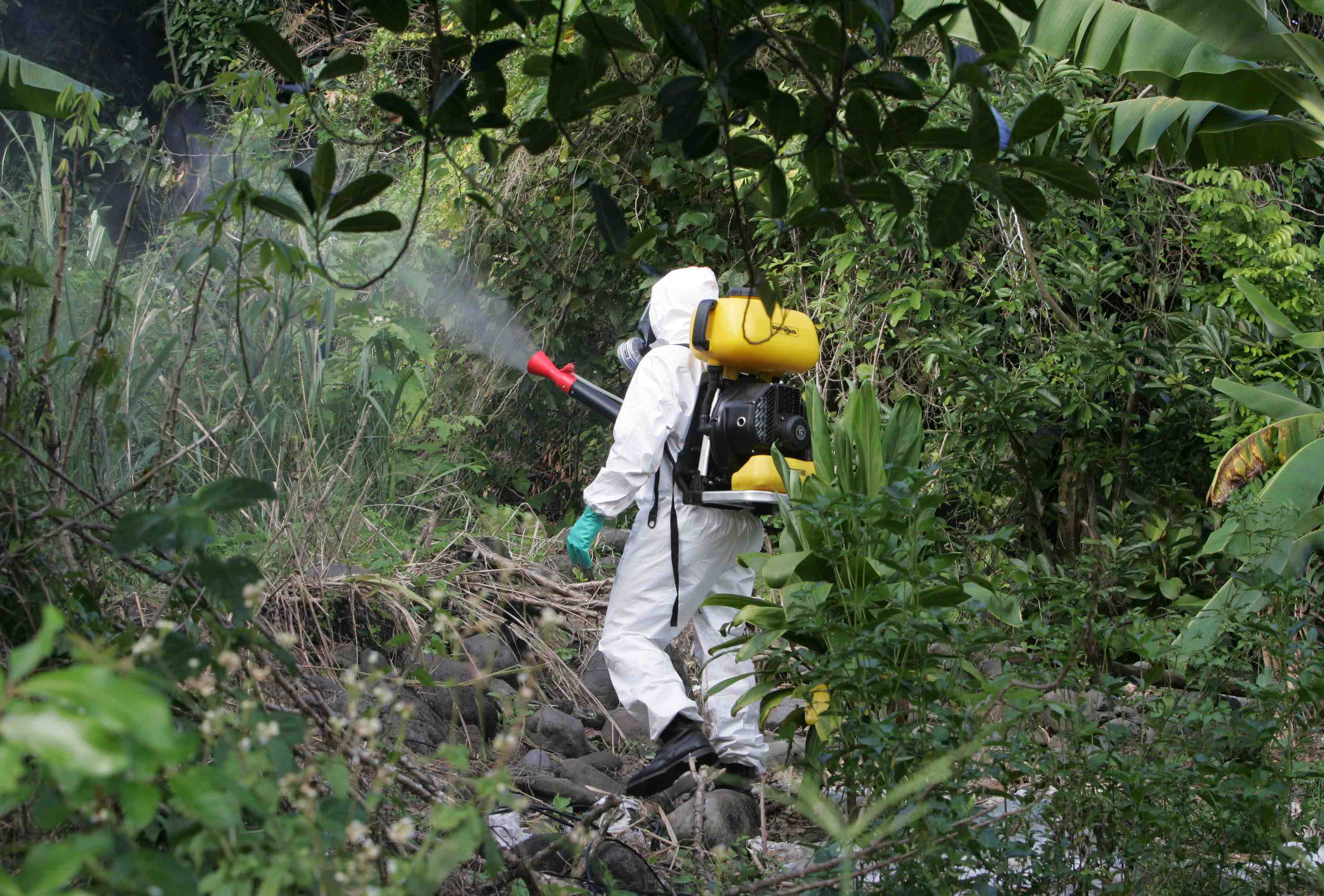 Lancement d'une consultation sur les zones tampons liees aux pesticides