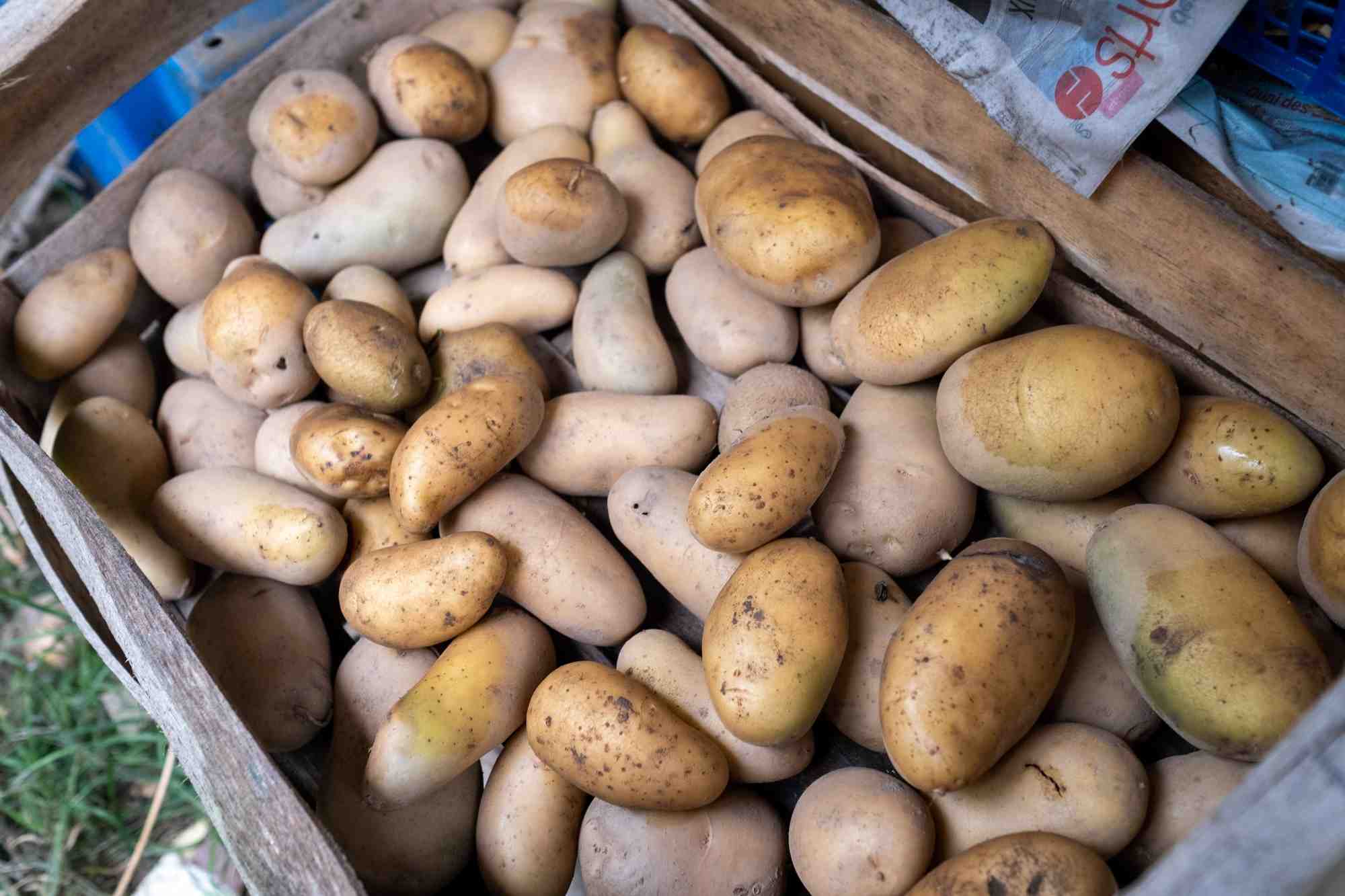 pomme de terre,