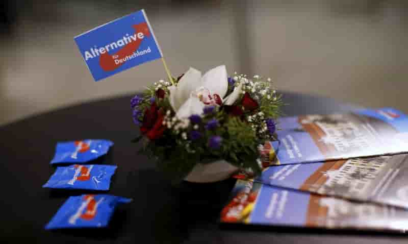 Le parti allemand afd tangue apres le brexit