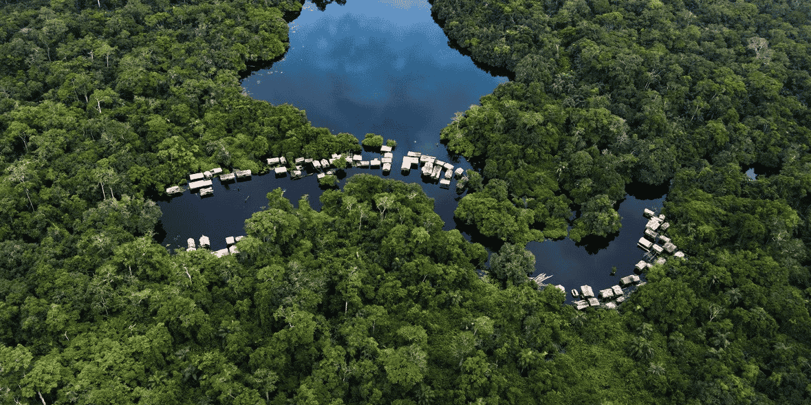 bassin congo