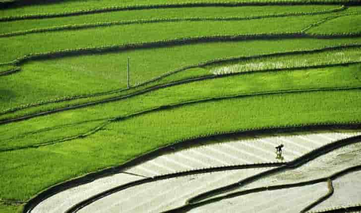 Plus de 40% des terres agricoles en Chine sont dégradées