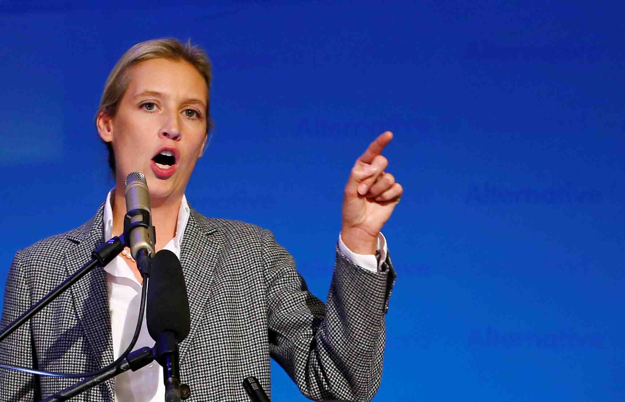 Allemagne: l'afd se defend d'accusations de financement illegal