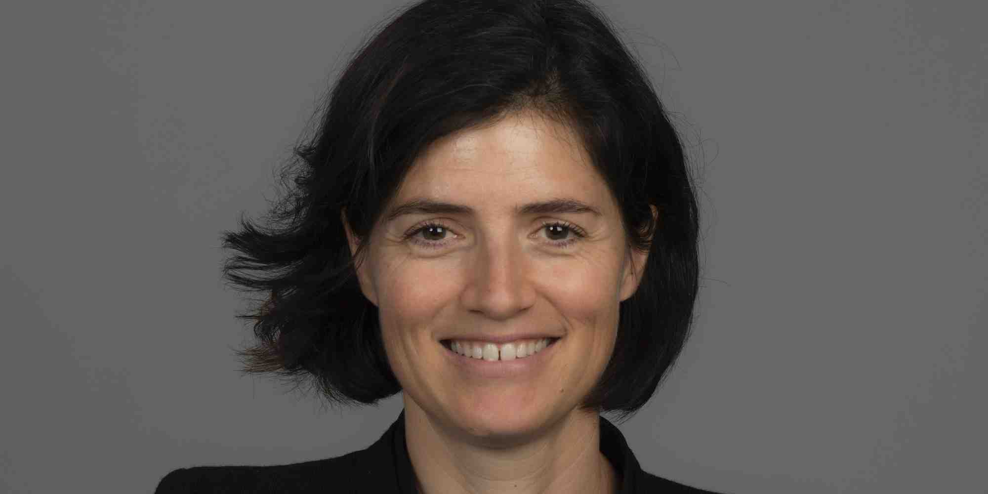 Christel Heydemann, Schneider Electric