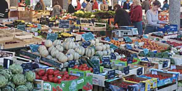 Avec l'interdiction de nombreux marchés alimentaires de plein vent, les agriculteurs perdent un nouveau débouché pour leurs productions.