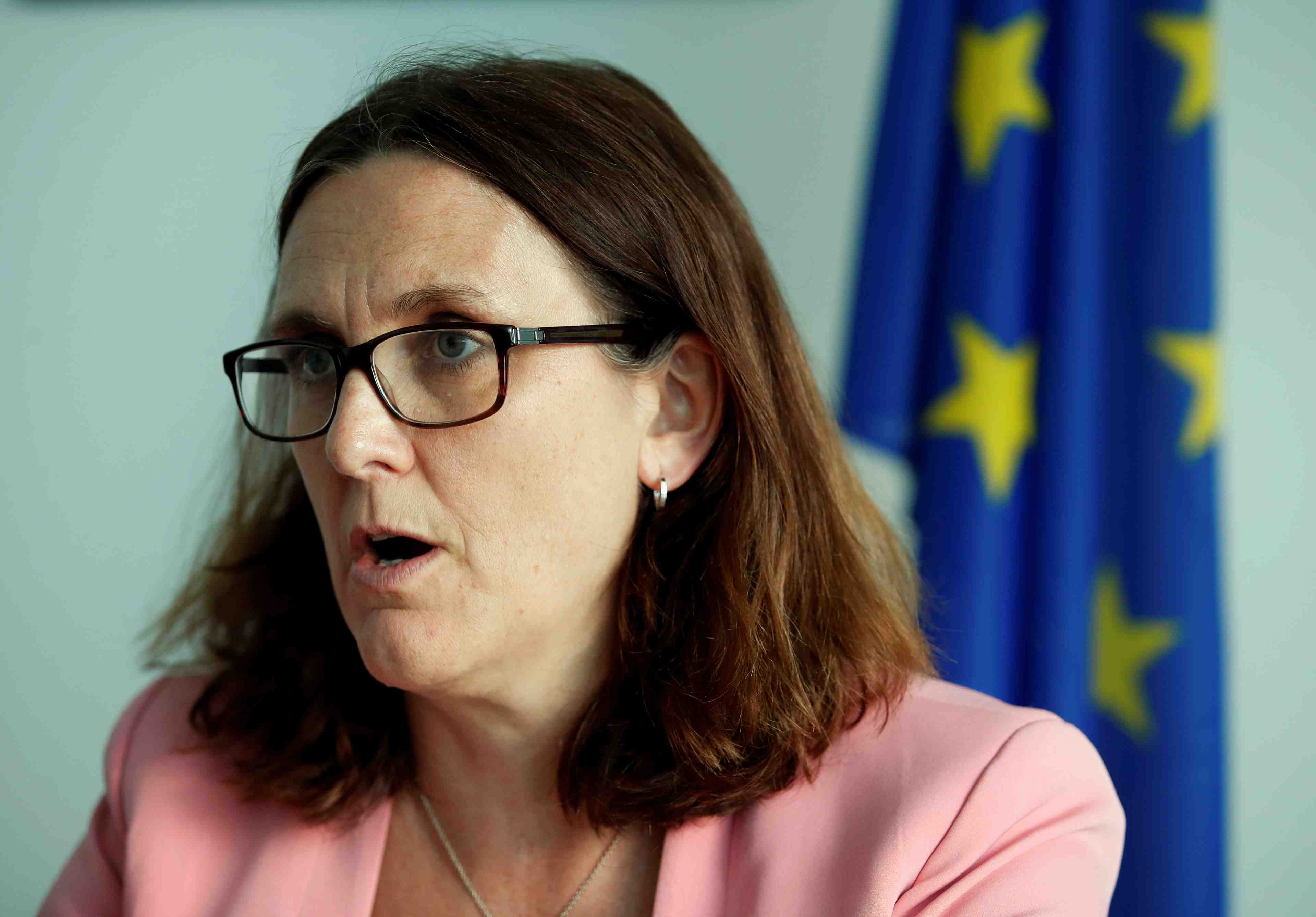 Malmstrom (ue) exhorte pekin a s'engager dans la reforme de l'omc