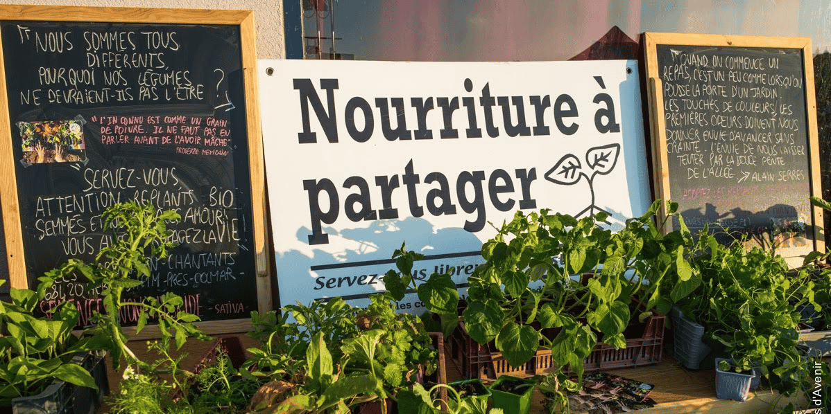 permaculture, bio, agriculture