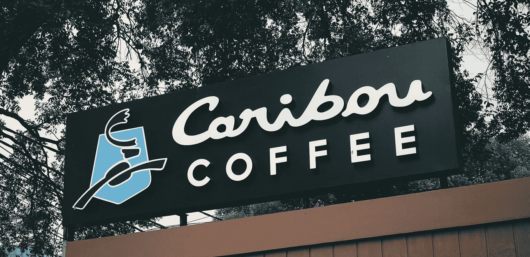 caribou coffee
