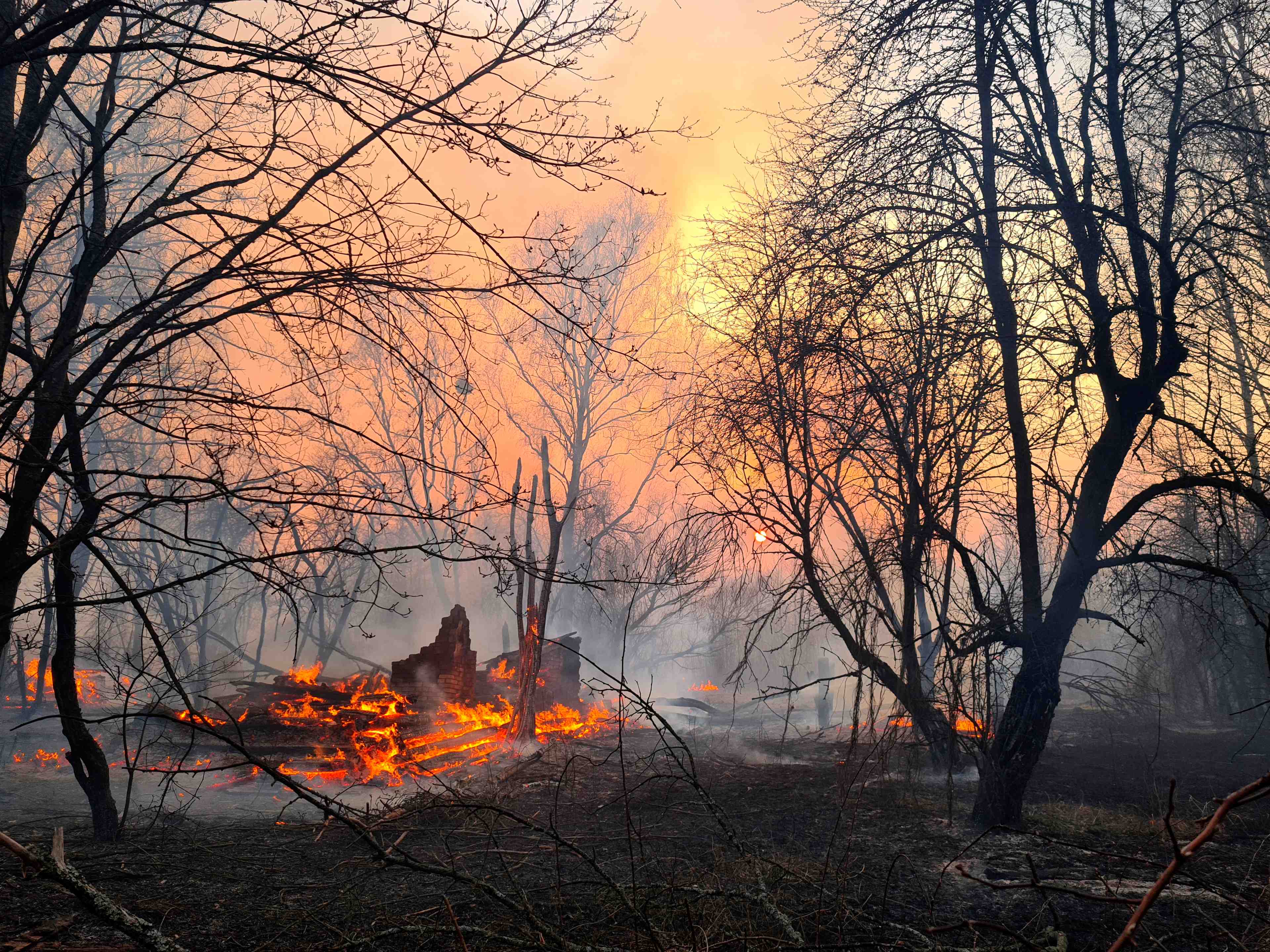 Feux de foret autour de tchernobyl, la radioactivite normale, selon les autorites