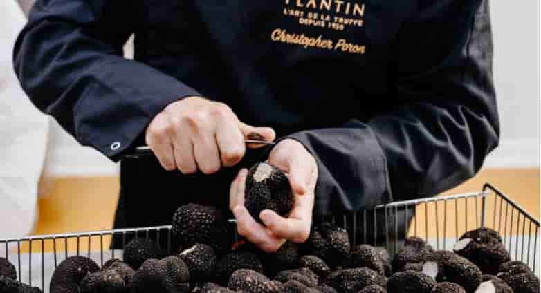 maison Plantin