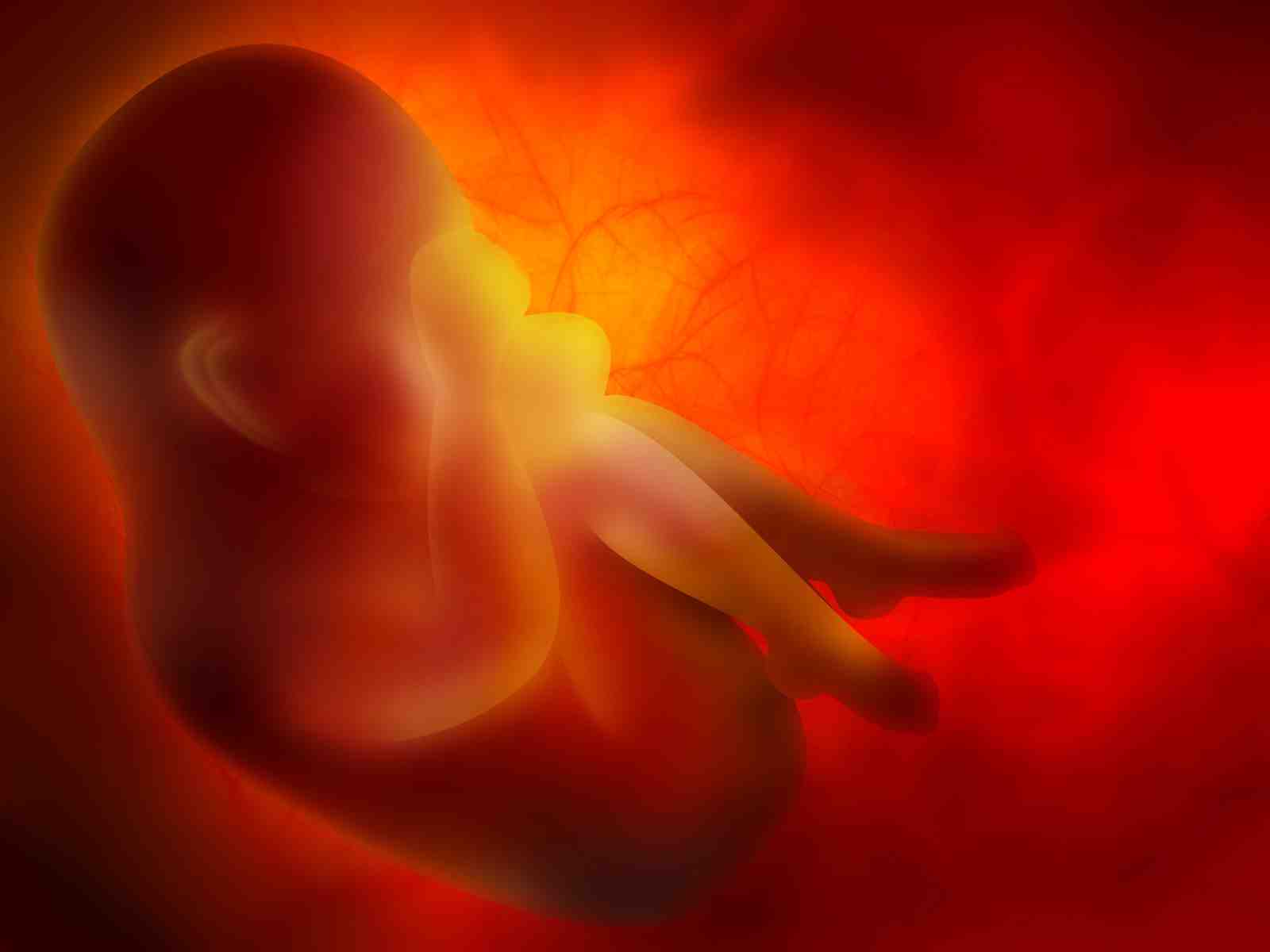 bébé, nouveau né