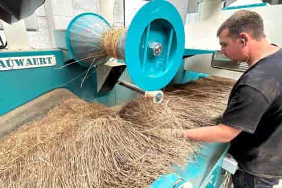 Le teillage est une opération mécanique qui permet de séparer les fibres textiles du bois et de l'écorce par broyage et battage.