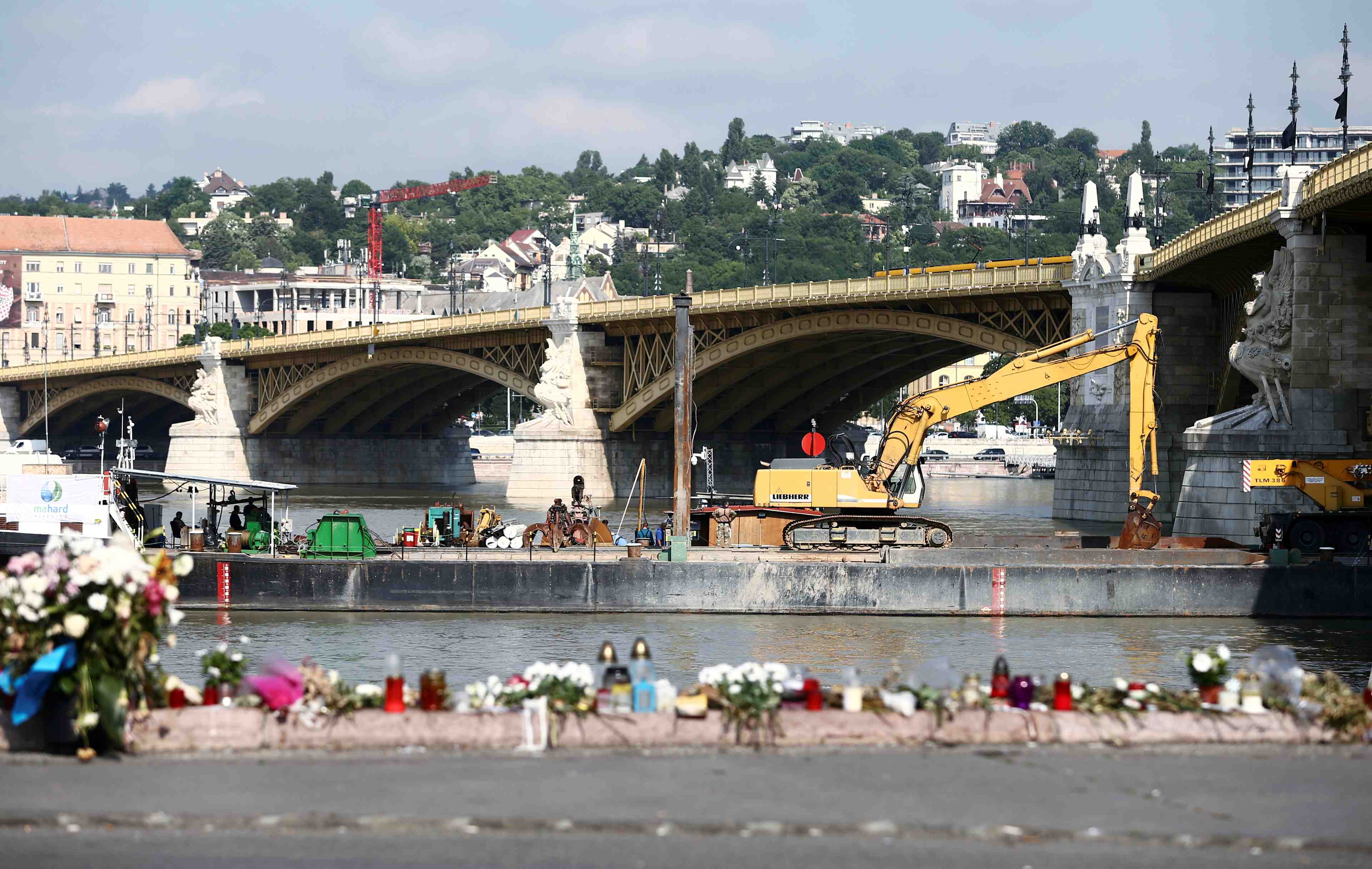 Naufrage sur le danube: dix-neuf corps recuperes a ce stade