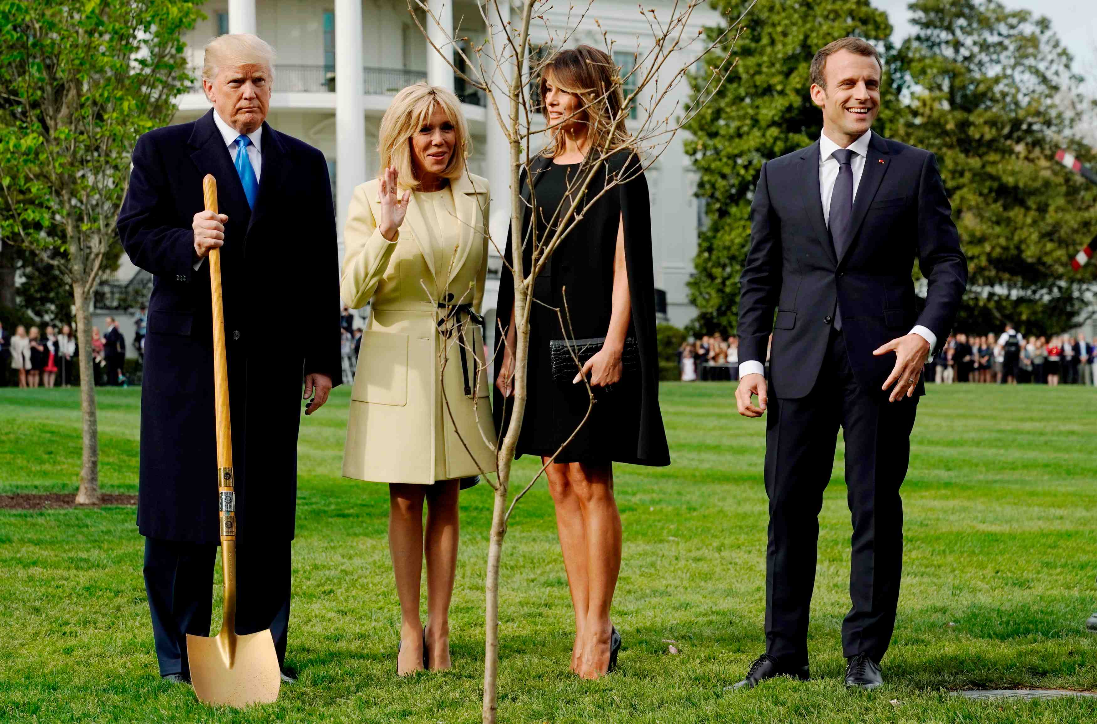 Macron va faire envoyer un autre chene a trump