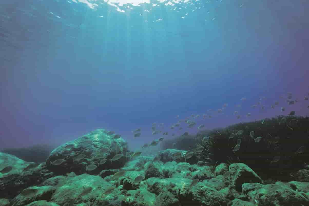 mer, océan