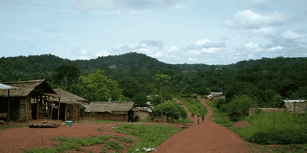 Ngoila Congo forêt